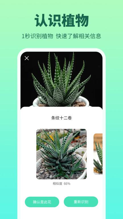 花多多app下载,花多多,植物app